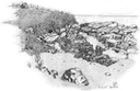 Barra drawing